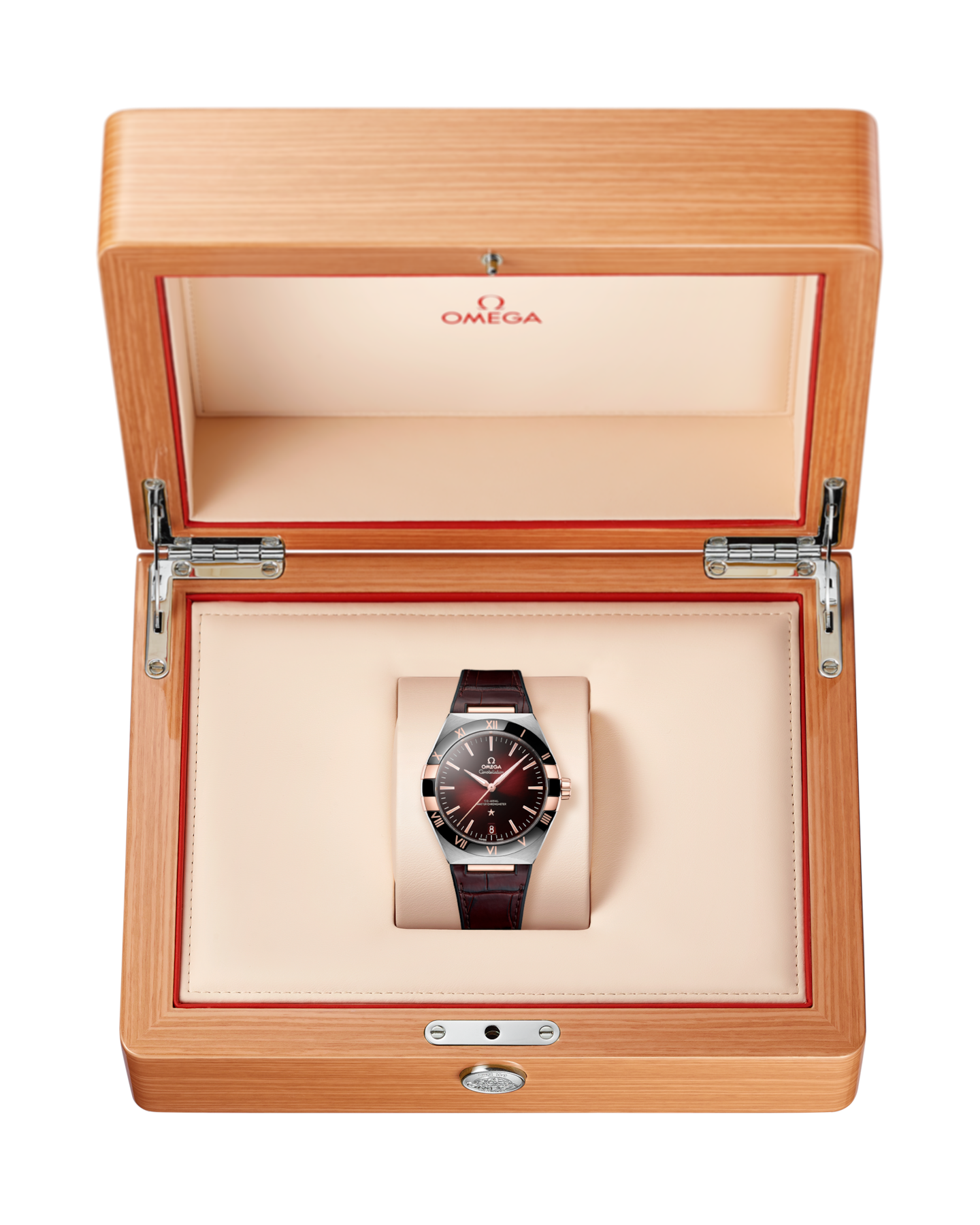 Constellation 41 mm Stainless Steel – Leather Strap